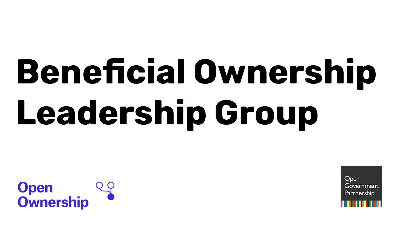 BO leadership group light