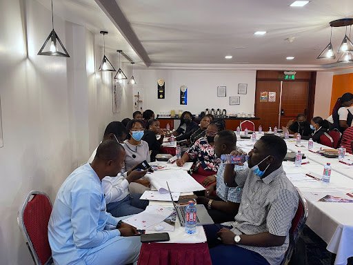 Building technical capacity of stakeholders for beneficial ownership transparency blog post – 3