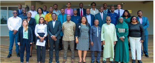 Building technical capacity of stakeholders for beneficial ownership transparency: Lessons from Ghana, Liberia, Nigeria and Zambia – 2