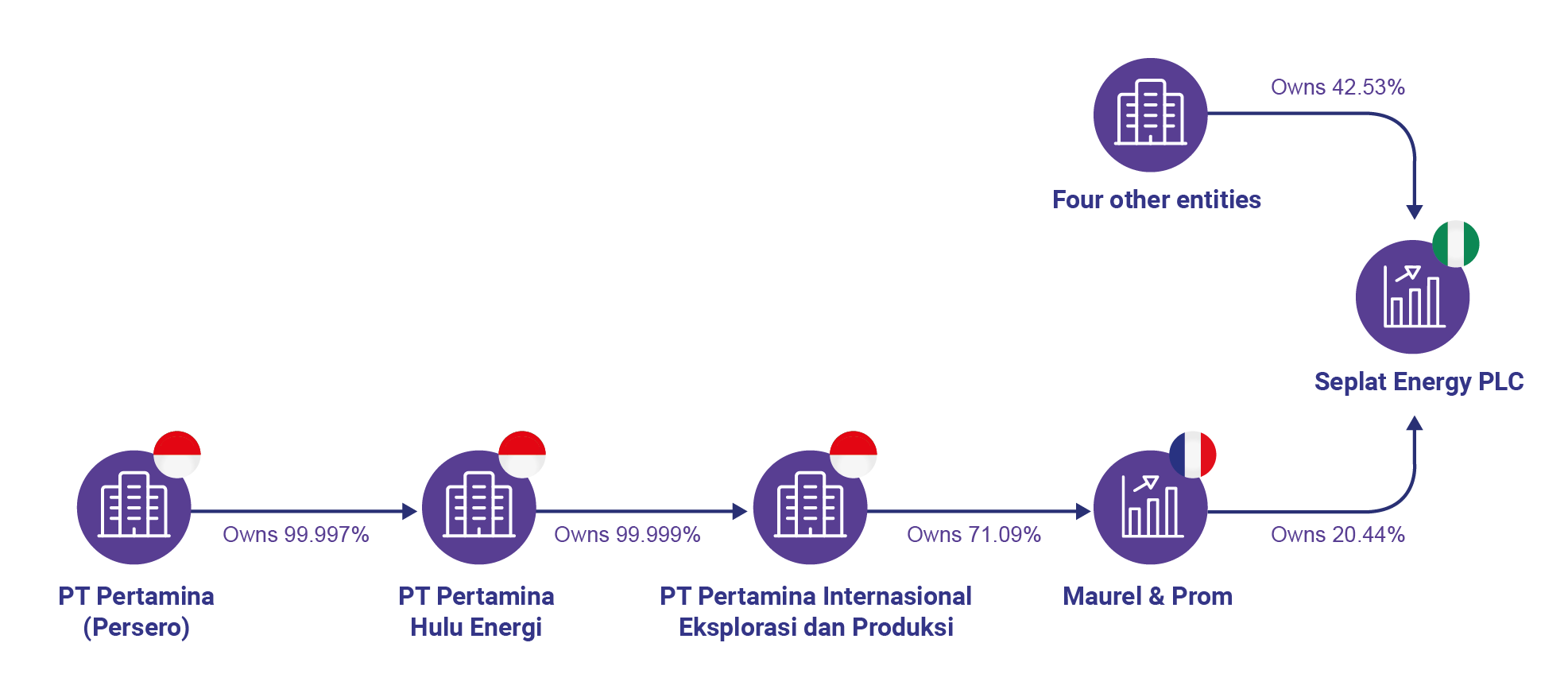 OE SOE Policy Brief - Diagram 2