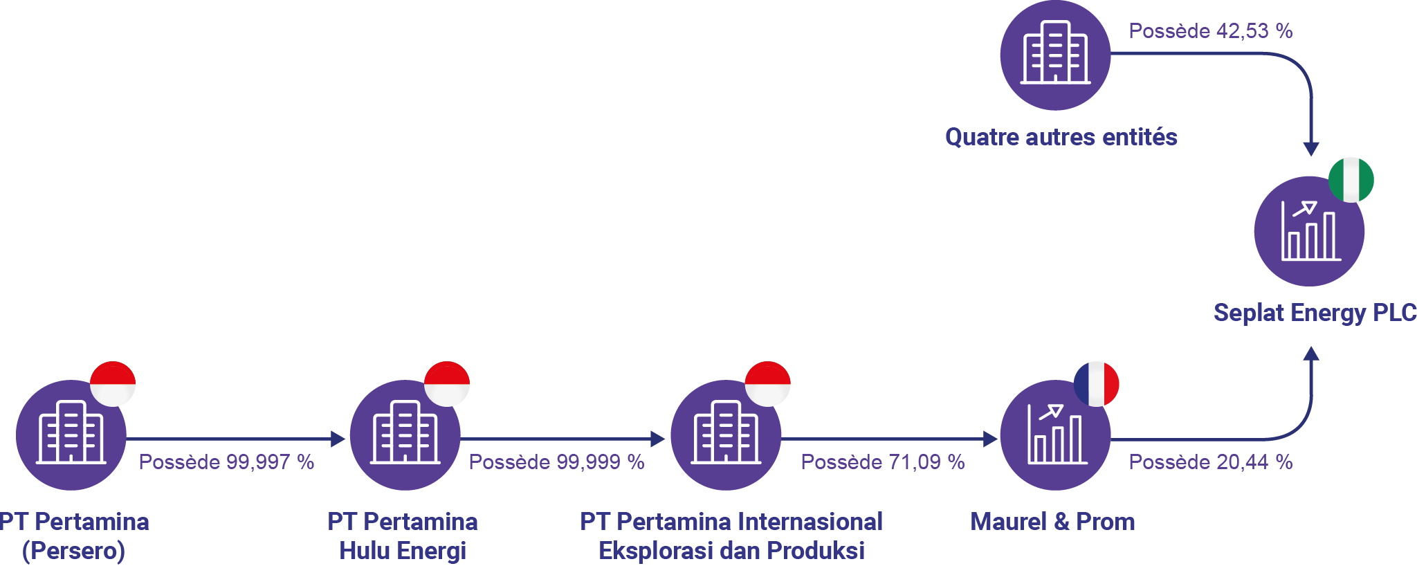 Visualisation des éléments de propriété et de contrôle de Pertamina au moyen de données structurées