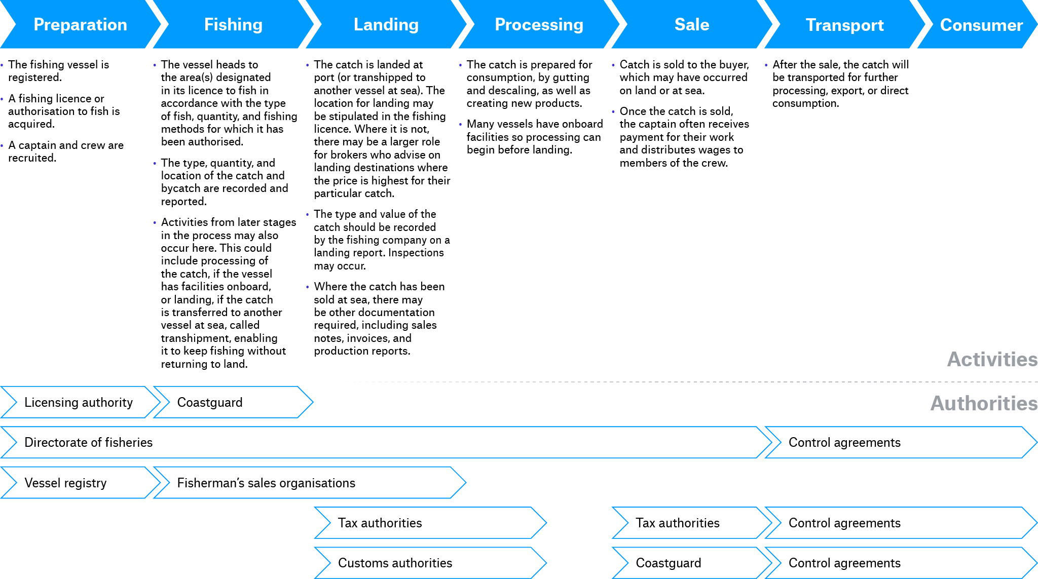 Figure 2. The fisheries value chain and typical activities in various stages