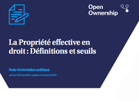 La Propriété effective endroit: Définitions et seuils cover image