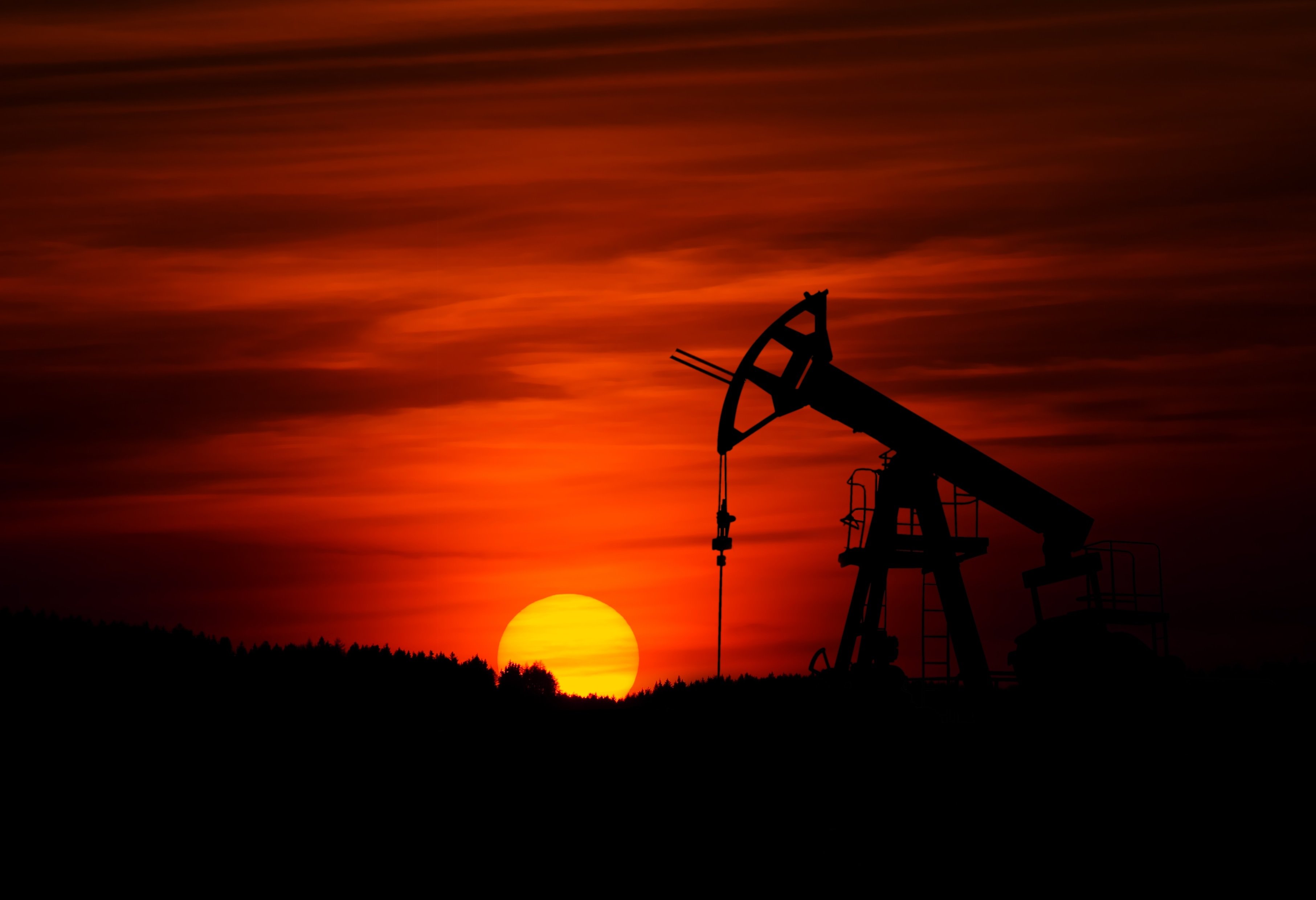 Photo Extractive