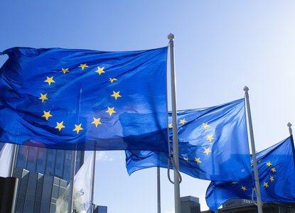 EU flags