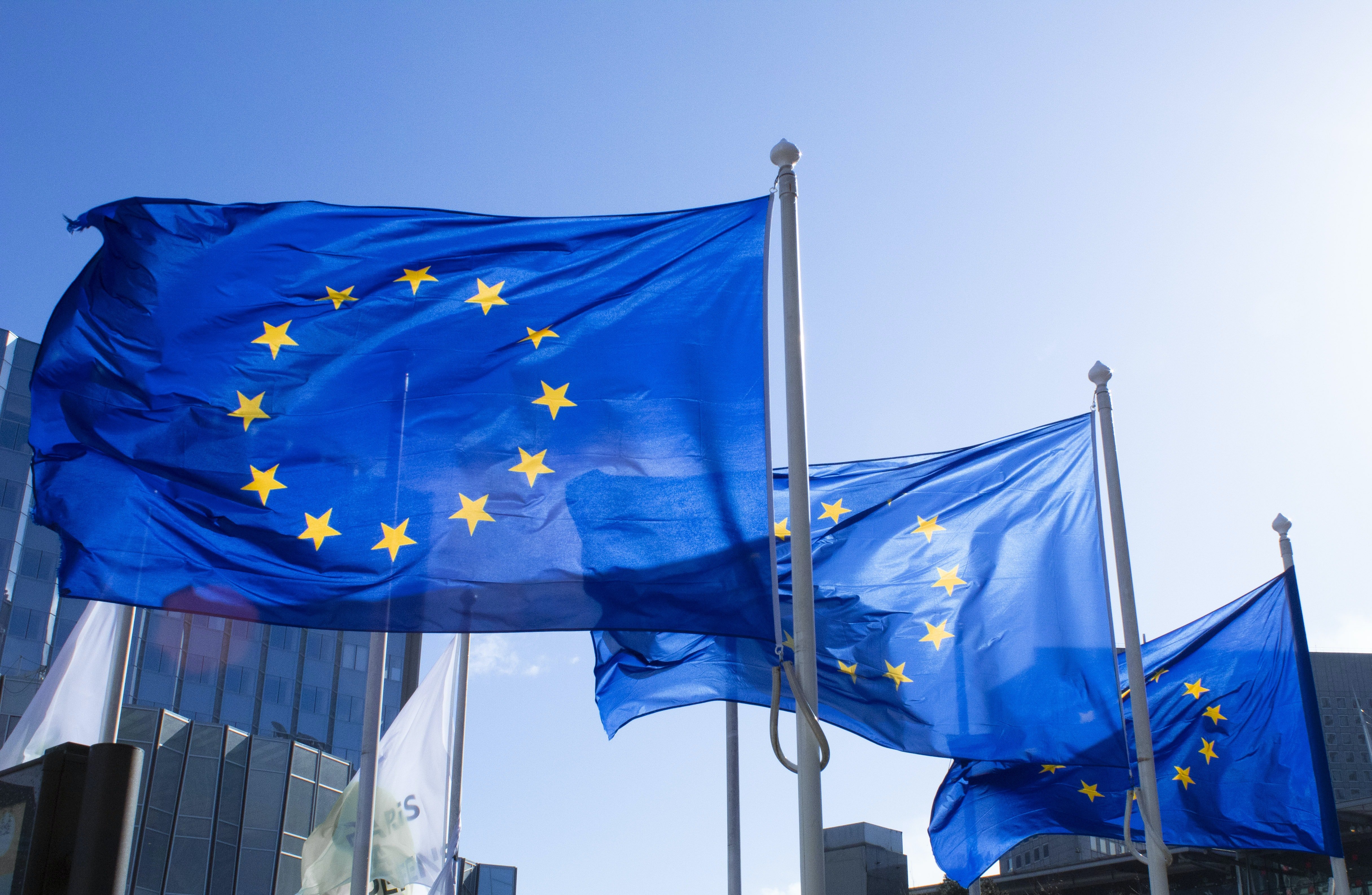 EU flags