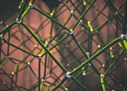 clint-adair-BW0vK-FA3eg-unsplash