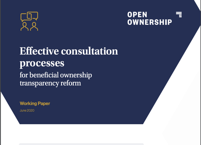 open-ownership-effective-consultation-processes-for-bot-thumbnail